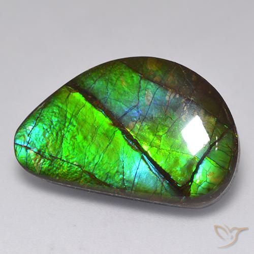 15.82ct Natürlicher Mehrfarbig Ammolith, Fantasie, Lichtundurchlässig