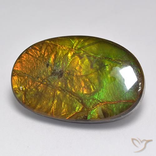 18.91ct Natürlicher Mehrfarbig Ammolith, Oval, Lichtundurchlässig