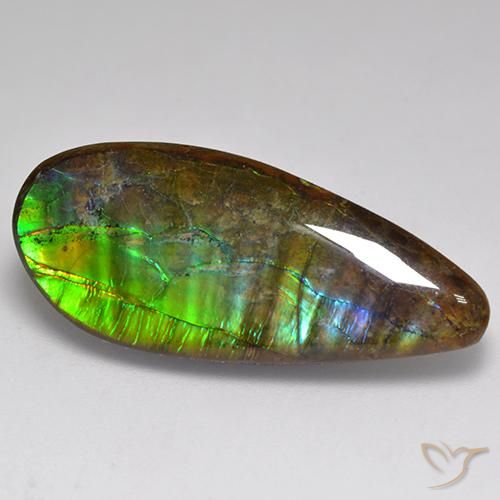 20.06ct Natürlicher Mehrfarbig Ammolith, Fantasie, Lichtundurchlässig