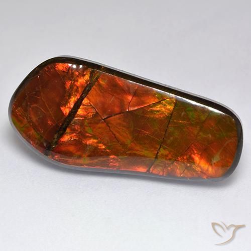 15.53ct Natürlicher Mehrfarbig Ammolith, Fantasie, Lichtundurchlässig