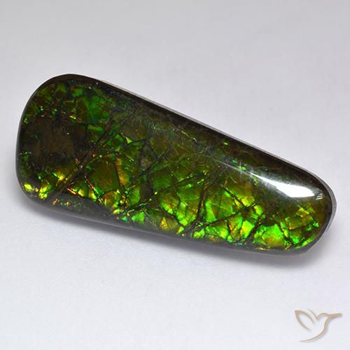 17.04ct Natürlicher Mehrfarbig Ammolith, Fantasie, Lichtundurchlässig