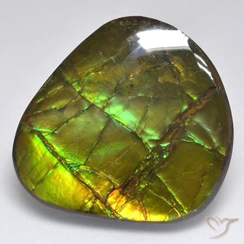 18.81ct Natürlicher Mehrfarbig Ammolith, Fantasie, Lichtundurchlässig