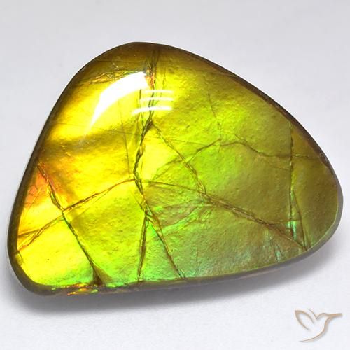19.06ct Natürlicher Mehrfarbig Ammolith, Fantasie, Lichtundurchlässig