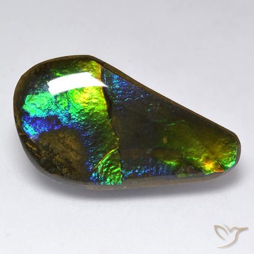 11.35ct Natürlicher Mehrfarbig Ammolith, Fantasie, Lichtundurchlässig
