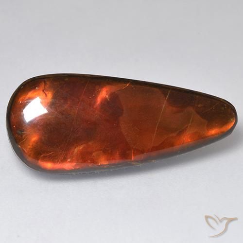 13.57ct Natürlicher Mehrfarbig Ammolith, Fantasie, Lichtundurchlässig