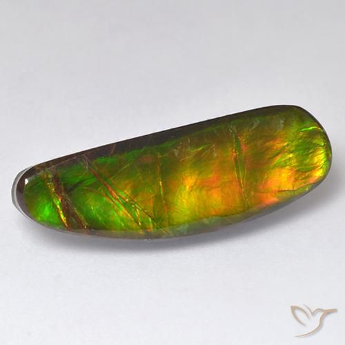 11.01ct Natürlicher Mehrfarbig Ammolith, Fantasie, Lichtundurchlässig