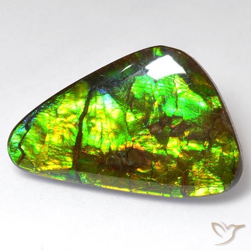 18.51ct Natürlicher Mehrfarbig Ammolith, Fantasie, Lichtundurchlässig