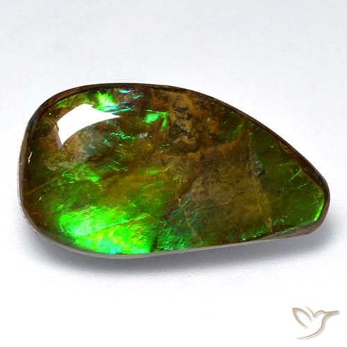 12.04ct Natürlicher Mehrfarbig Ammolith, Fantasie, Lichtundurchlässig