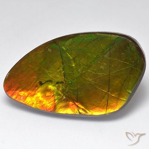 22.28ct Natürlicher Mehrfarbig Ammolith, Fantasie, Lichtundurchlässig