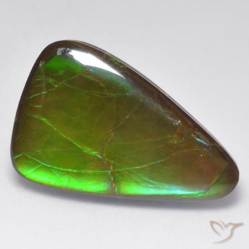 16.16ct Natürlicher Mehrfarbig Ammolith, Fantasie, Lichtundurchlässig