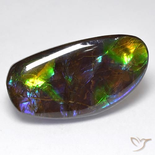 16.71ct Natürlicher Mehrfarbig Ammolith, Fantasie, Lichtundurchlässig
