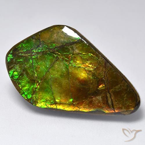 19.12ct Natürlicher Mehrfarbig Ammolith, Fantasie, Lichtundurchlässig