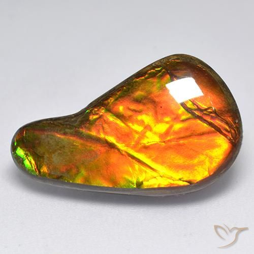 13.11ct Natürlicher Mehrfarbig Ammolith, Fantasie, Lichtundurchlässig