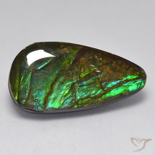 10.04ct Natürlicher Mehrfarbig Ammolith, Fantasie, Lichtundurchlässig