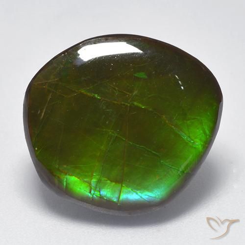 10.26ct Natürlicher Mehrfarbig Ammolith, Fantasie, Lichtundurchlässig