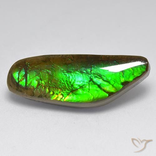 9.60ct Natürlicher Mehrfarbig Ammolith, Fantasie, Lichtundurchlässig