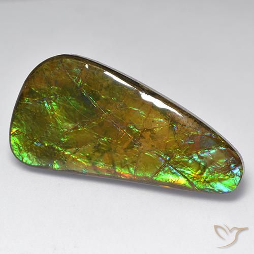 23.60ct Natürlicher Mehrfarbig Ammolith, Fantasie, Lichtundurchlässig