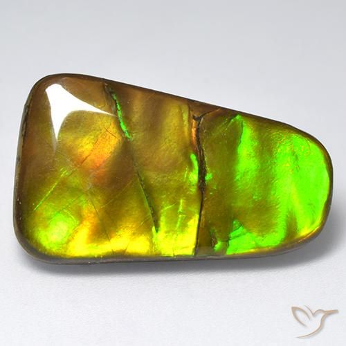 18.48ct Natürlicher Mehrfarbig Ammolith, Fantasie, Lichtundurchlässig
