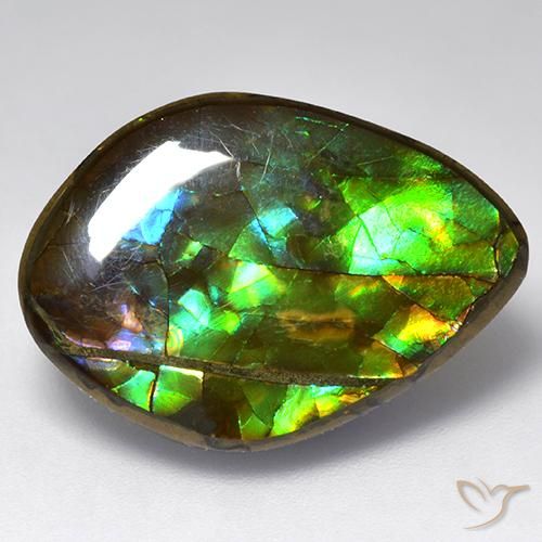 13.64ct Natürlicher Mehrfarbig Ammolith, Fantasie, Lichtundurchlässig