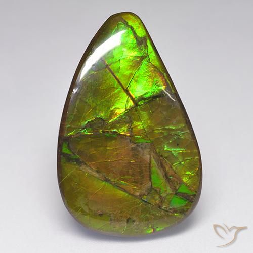 23.14ct Natürlicher Mehrfarbig Ammolith, Fantasie, Lichtundurchlässig