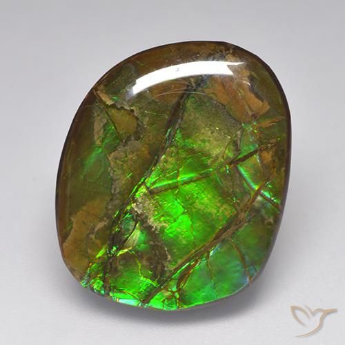 19.23ct Natürlicher Mehrfarbig Ammolith, Fantasie, Lichtundurchlässig