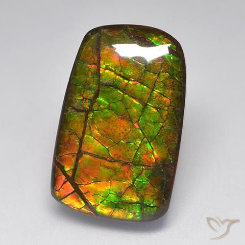 15.22ct Natürlicher Mehrfarbig Ammolith, Fantasie, Lichtundurchlässig