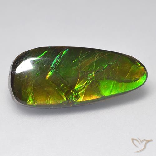 9.58ct Natürlicher Mehrfarbig Ammolith, Fantasie, Lichtundurchlässig