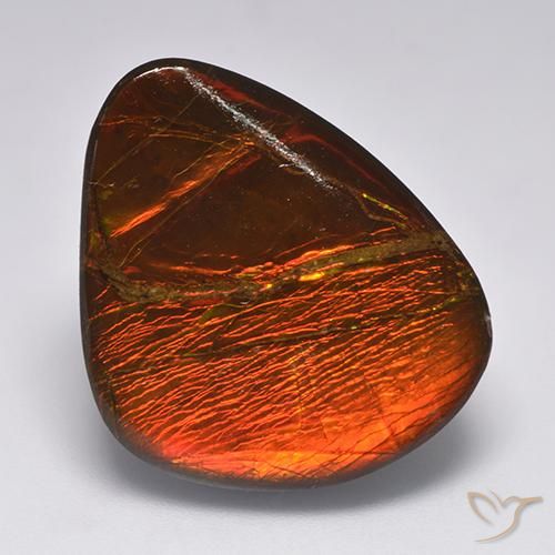 22.11ct Natürlicher Mehrfarbig Ammolith, Fantasie, Lichtundurchlässig