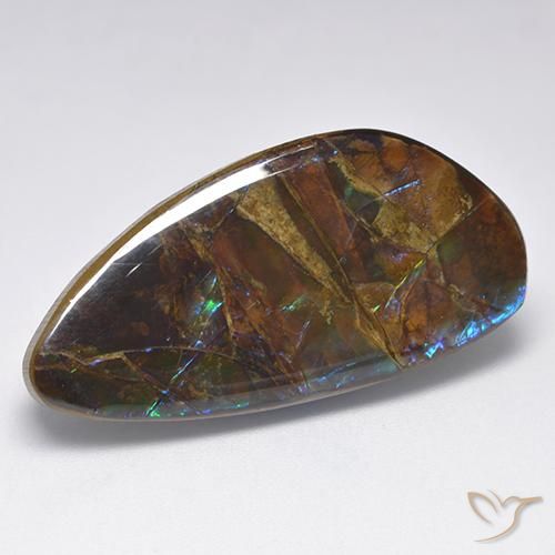19.90ct Natürlicher Mehrfarbig Ammolith, Fantasie, Lichtundurchlässig
