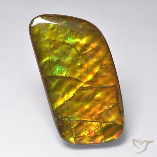 23.24ct Natürlicher Mehrfarbig Ammolith, Fantasie, Lichtundurchlässig