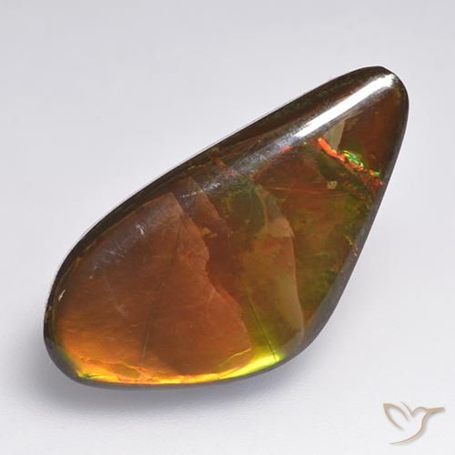 13.86ct Natürlicher Mehrfarbig Ammolith, Fantasie, Lichtundurchlässig