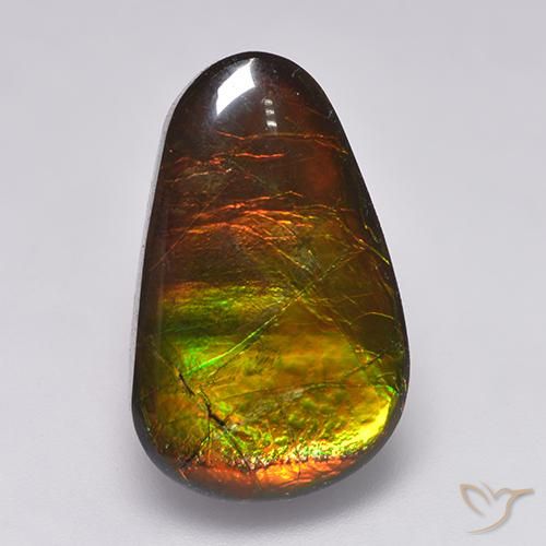 12.85ct Natürlicher Mehrfarbig Ammolith, Fantasie, Lichtundurchlässig