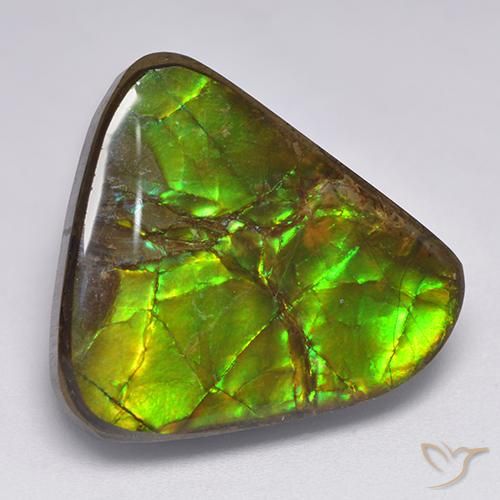 17.90ct Natürlicher Mehrfarbig Ammolith, Fantasie, Lichtundurchlässig