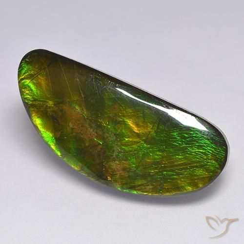 18.57ct Natürlicher Mehrfarbig Ammolith, Fantasie, Lichtundurchlässig