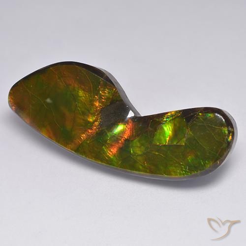 24.54ct Natürlicher Mehrfarbig Ammolith, Fantasie, Lichtundurchlässig
