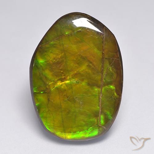 20.63ct Natürlicher Mehrfarbig Ammolith, Fantasie, Lichtundurchlässig