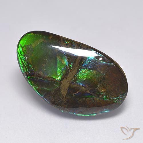 18.50ct Natürlicher Mehrfarbig Ammolith, Fantasie, Lichtundurchlässig