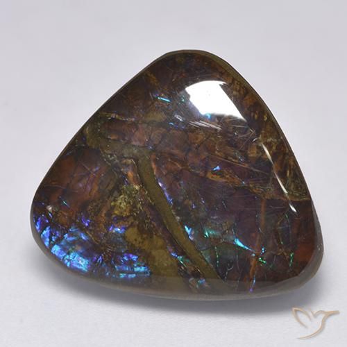 14.06ct Natürlicher Mehrfarbig Ammolith, Trillion, Lichtundurchlässig