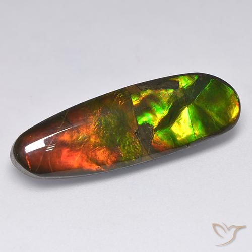 13.63ct Natürlicher Mehrfarbig Ammolith, Fantasie, Lichtundurchlässig