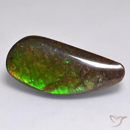 13.19ct Natürlicher Mehrfarbig Ammolith, Fantasie, Lichtundurchlässig