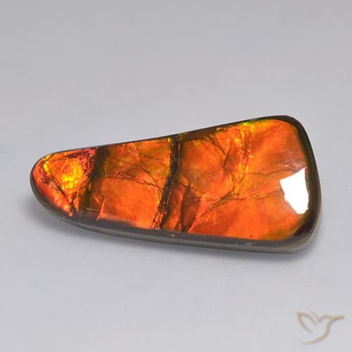 11.58ct Natürlicher Mehrfarbig Ammolith, Fantasie, Lichtundurchlässig