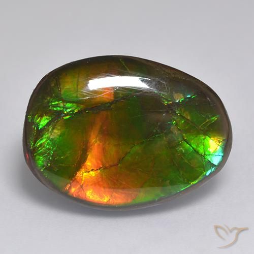 14.86ct Natürlicher Mehrfarbig Ammolith, Fantasie, Lichtundurchlässig