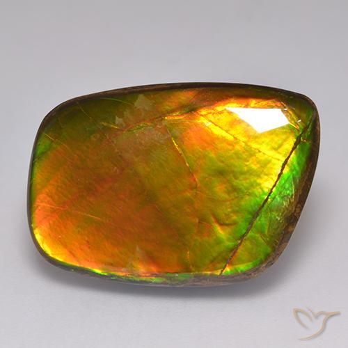 21.59ct Natürlicher Mehrfarbig Ammolith, Fantasie, Lichtundurchlässig