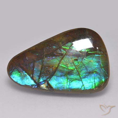 17.82ct Natürlicher Mehrfarbig Ammolith, Fantasie, Lichtundurchlässig