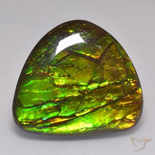 20.62ct Natürlicher Mehrfarbig Ammolith, Fantasie, Lichtundurchlässig