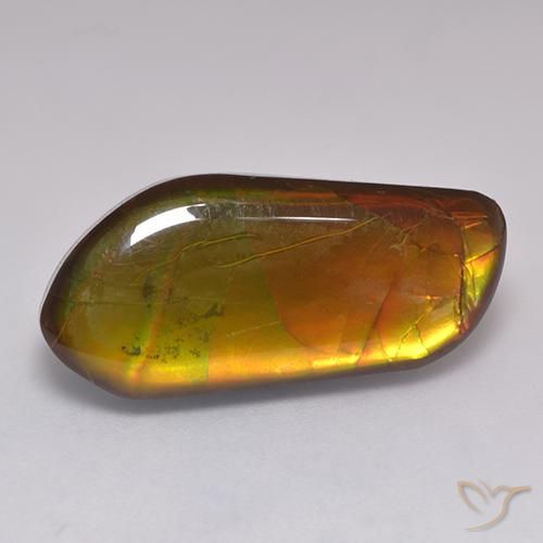 13.43ct Natürlicher Mehrfarbig Ammolith, Fantasie, Lichtundurchlässig