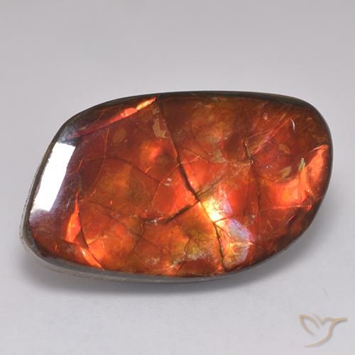 20.30ct Natürlicher Mehrfarbig Ammolith, Fantasie, Lichtundurchlässig