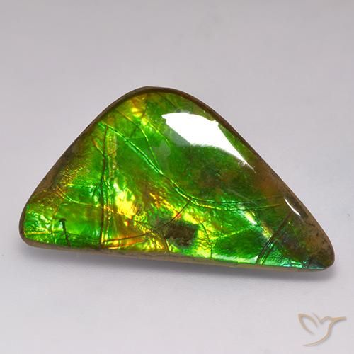 17.71ct Natürlicher Mehrfarbig Ammolith, Fantasie, Lichtundurchlässig