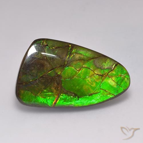 19.72ct Natürlicher Mehrfarbig Ammolith, Fantasie, Lichtundurchlässig