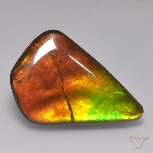 20.30ct Natürlicher Mehrfarbig Ammolith, Fantasie, Lichtundurchlässig